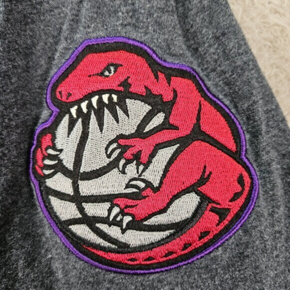 Youth Toronto Raptors Heathered Charcoal Hardwood Classic Raglan Pullover Hoodie - Picture 7 of 10